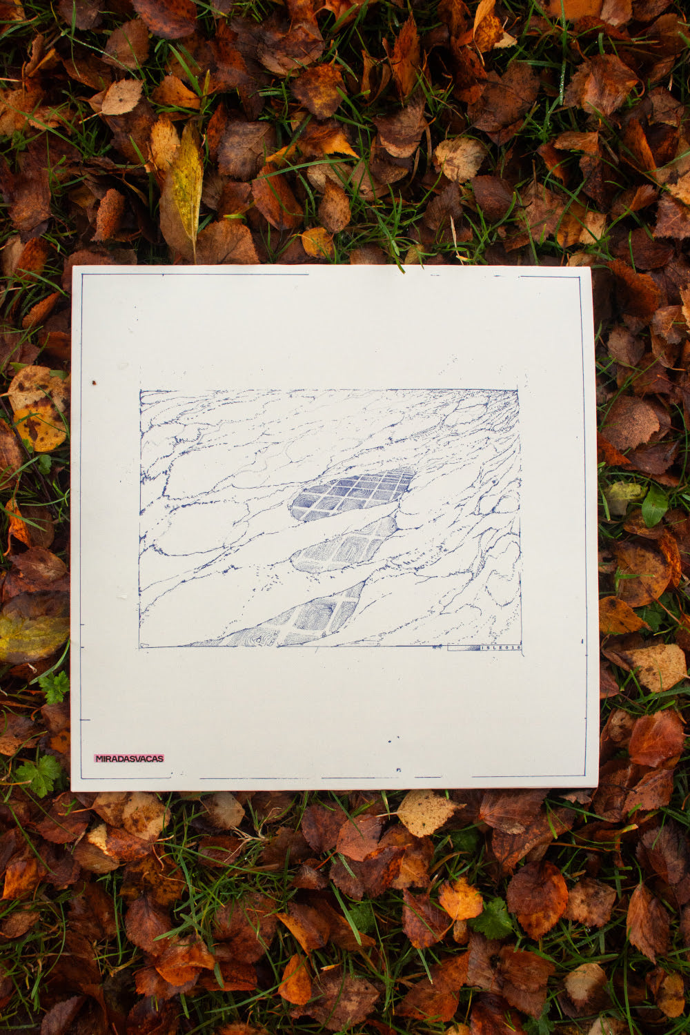 Miradasvacas - Of No Fixed Abode
