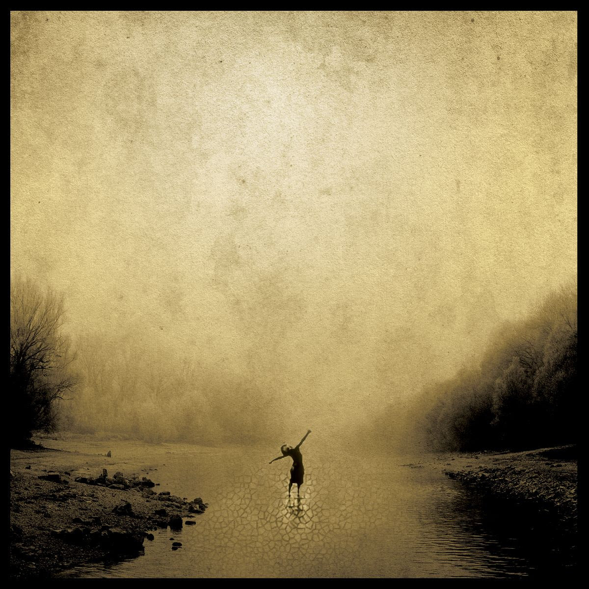 The Boxer Rebellion - Union [Bronze Vinyl]