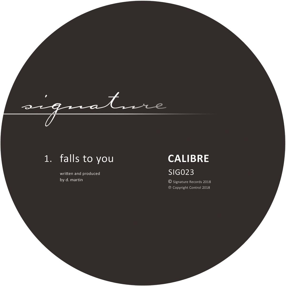 Calibre - Falls To You