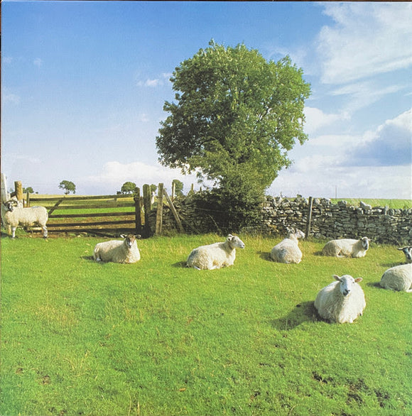 The KLF - Chill Out [Clear Vinyl]