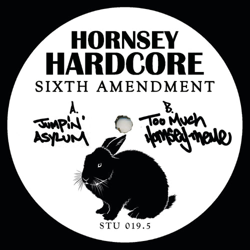 Hornsey Hardcore - Sixth Amendment