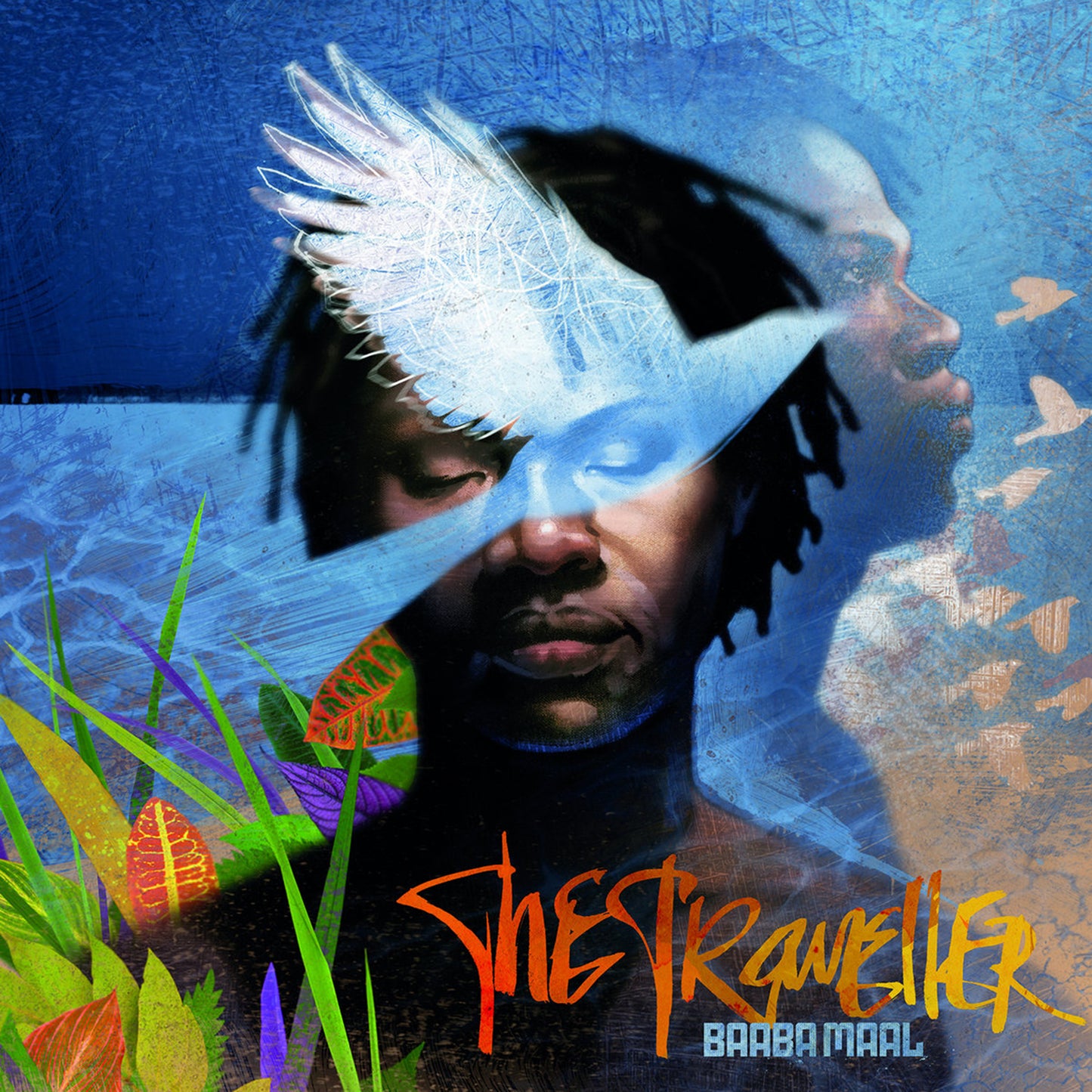 Baaba Maal - The Traveller [CD Version]