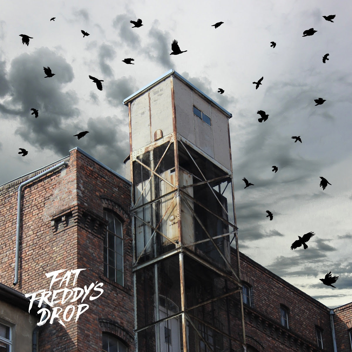 Fat Freddy's Drop - Blackbird Returns [2LP]
