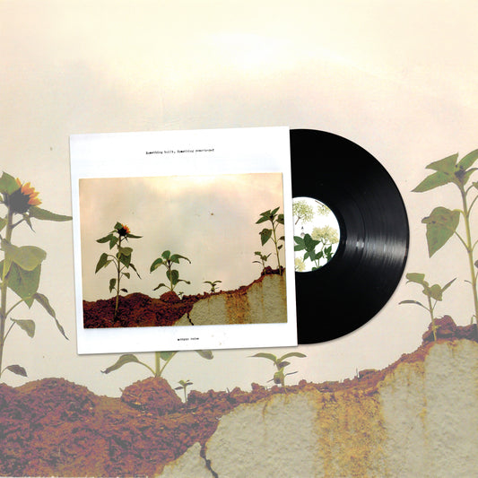 Morgan Noise - Something built, Something remembered [LP]