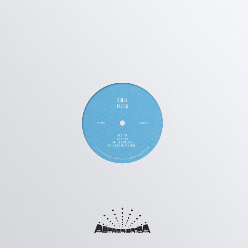 Sully - Flock [In Astrophonica Label Sleeve]