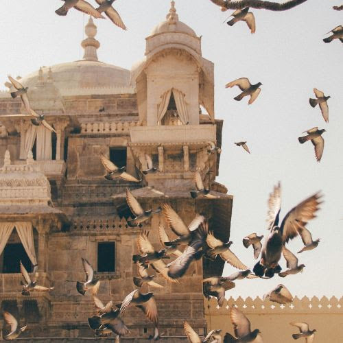 Turning Jewels Into Water - Morning Birds and Distant Drums