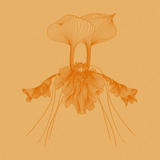 Reel By Real - Tic Tac EP