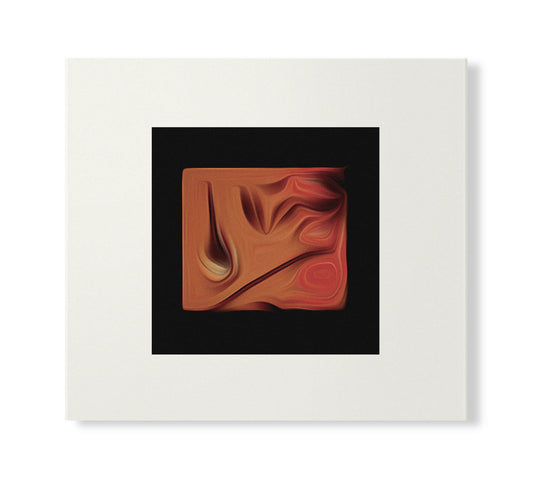 Susumu Yokota - The Boy And The Tree (Skintone Edition) [CD Version]
