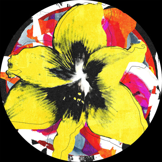 Various Artists -  Infernal Sounds presents:  IFSDIGIV003