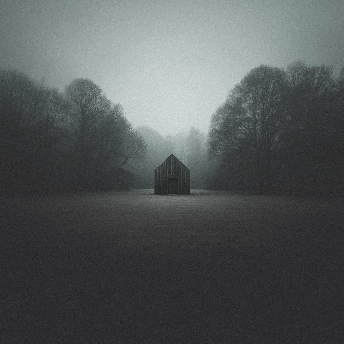 LSB - The Middle [2LP]