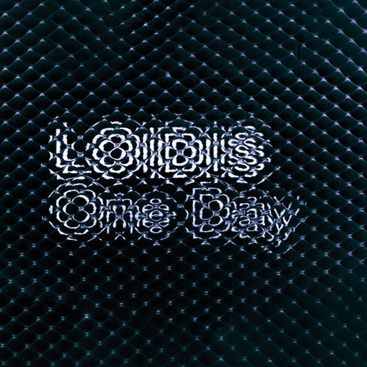 Loidis - One Day [2LP]