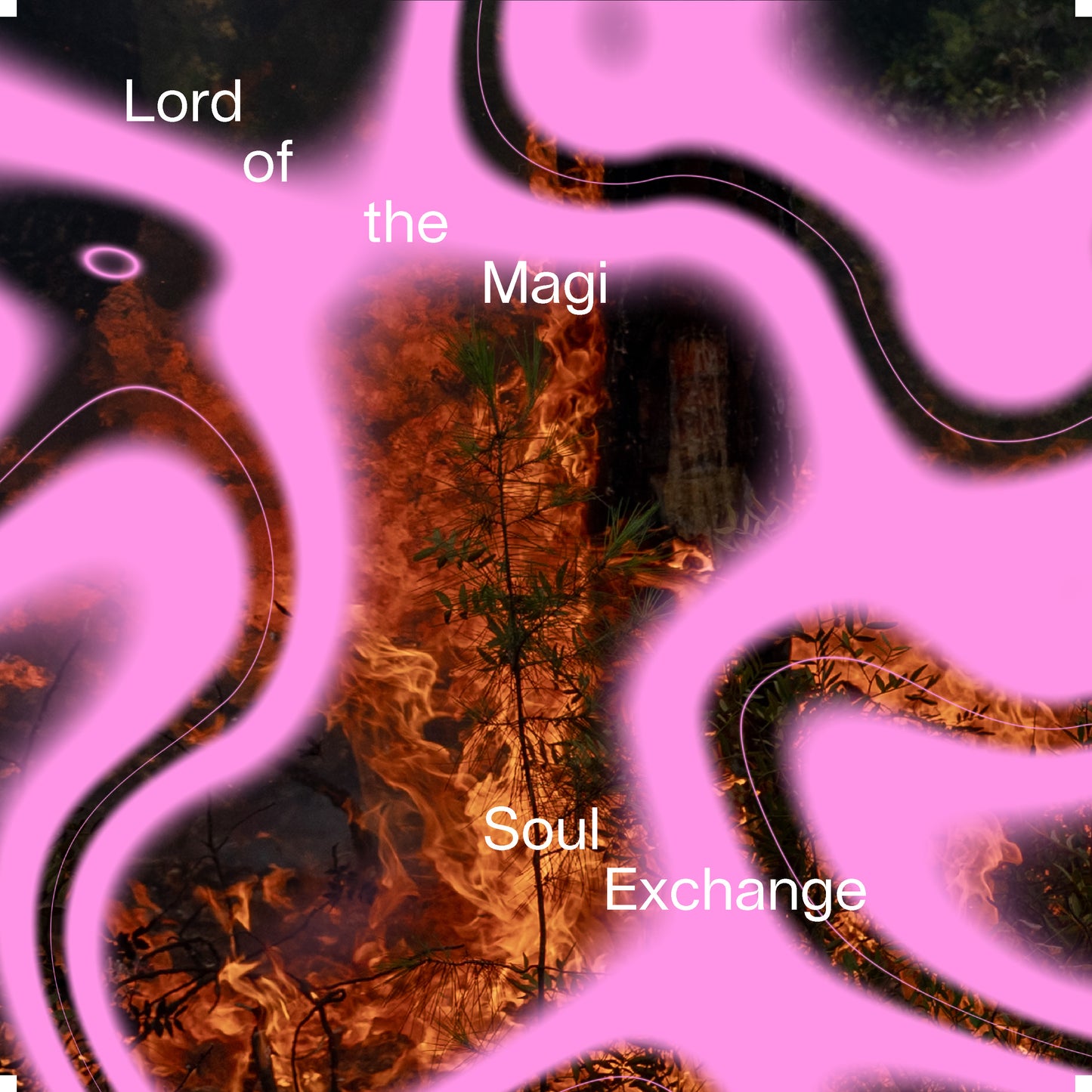Lord of the Magi - Soul Exchange