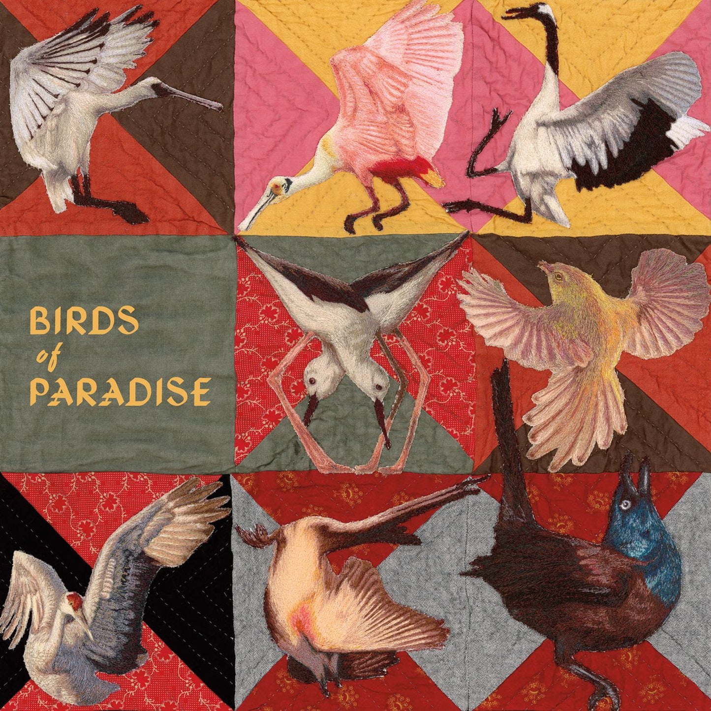 THOMAS DOLLBAUM - BIRDS OF PARADISE