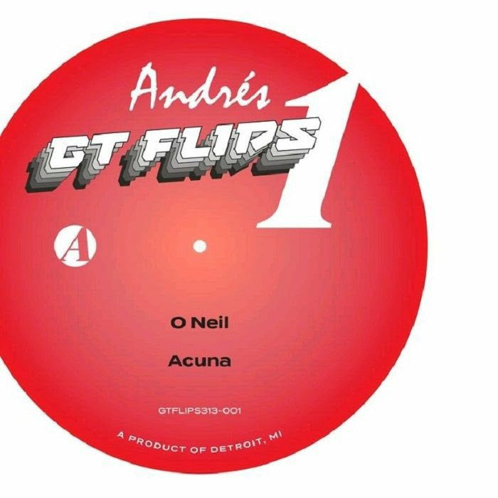 Andrés - GTFlip313-001
