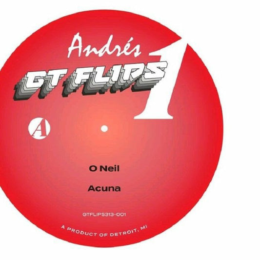 Andrés - GTFlip313-001