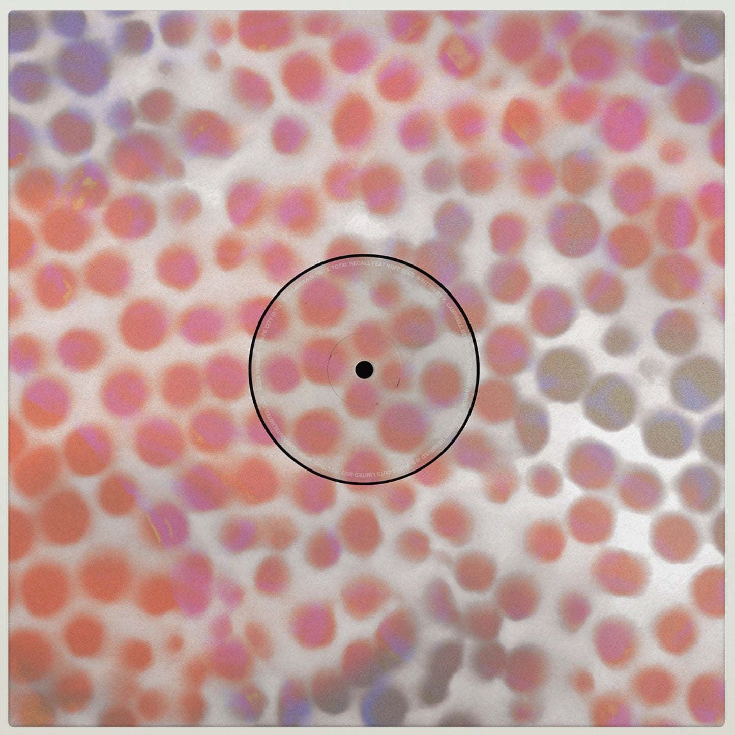 Roza Terenzi & Furious Frank - Roza Terenzi & Furious Frank LP