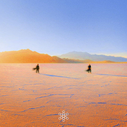 PRAANA - INSIGHT OUT [Yellow-orange marbled colour 2LP]