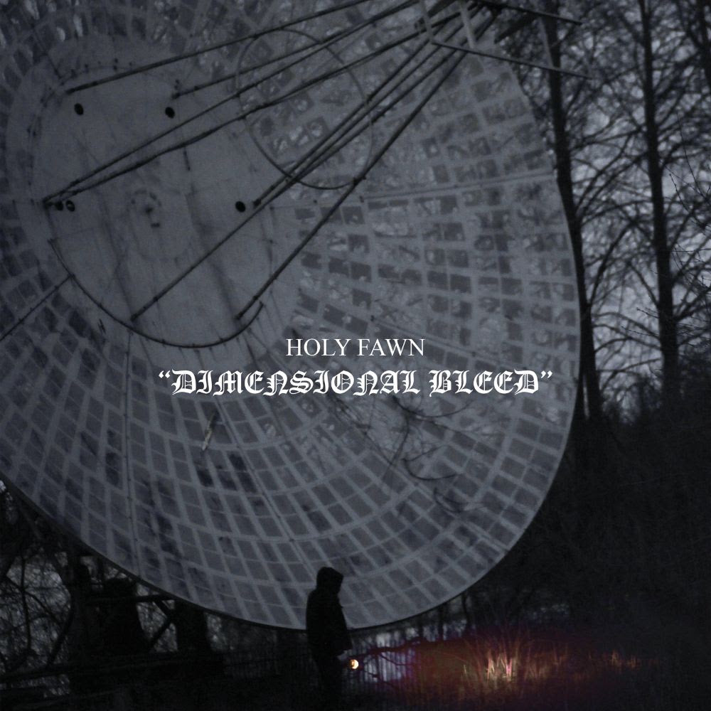 Holy Fawn - Dimensional Bleed [2LP Graphite Vinyl]