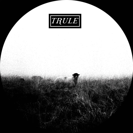 StefÍ n Dubs - Spring Tones