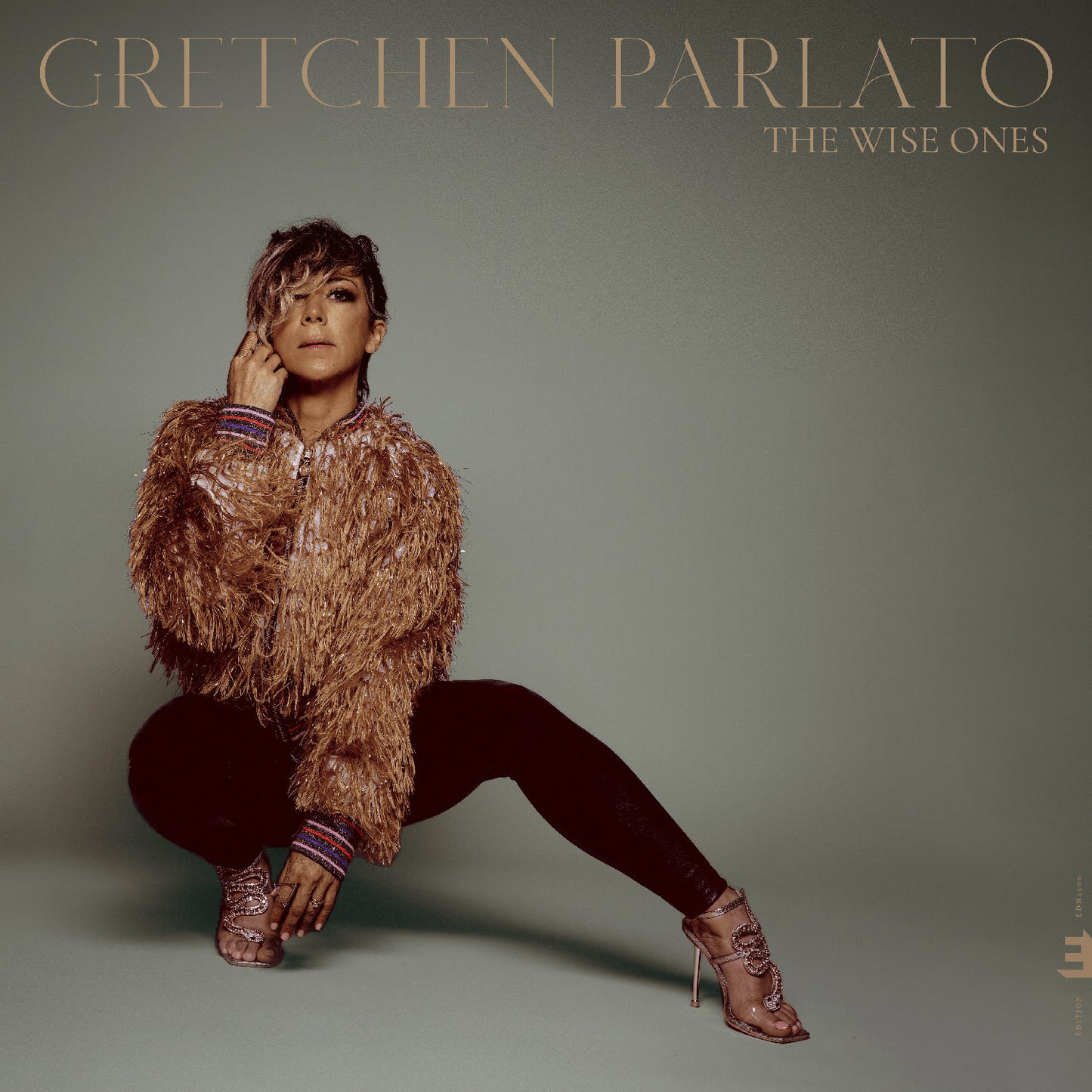 Gretchen Parlato - The Wise Ones [CD]