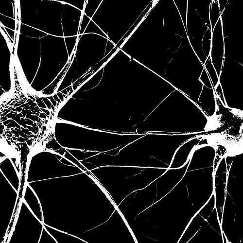 Filmmaker - Death Lessons [7" Vinyl]