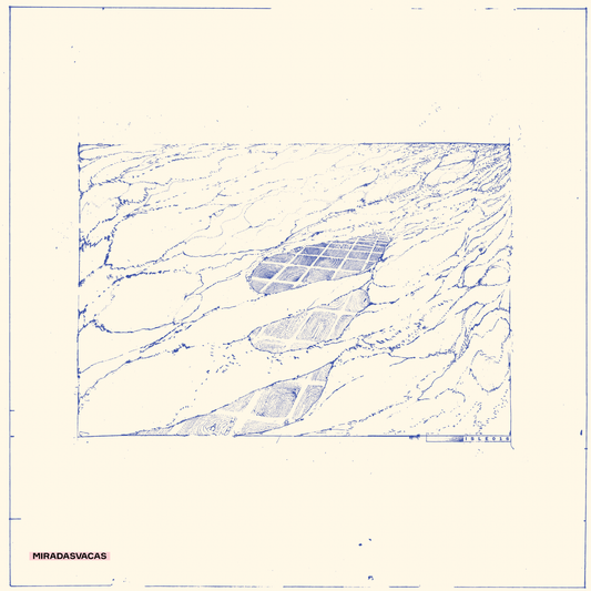 Miradasvacas - Of No Fixed Abode
