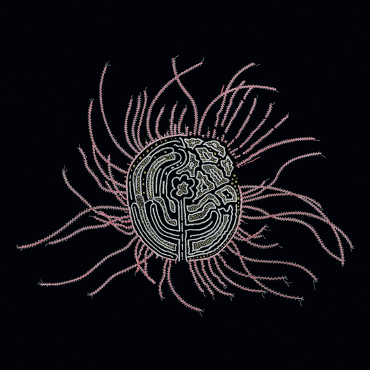 Ka Baird - Bearings: Soundtracks For The Bardos
