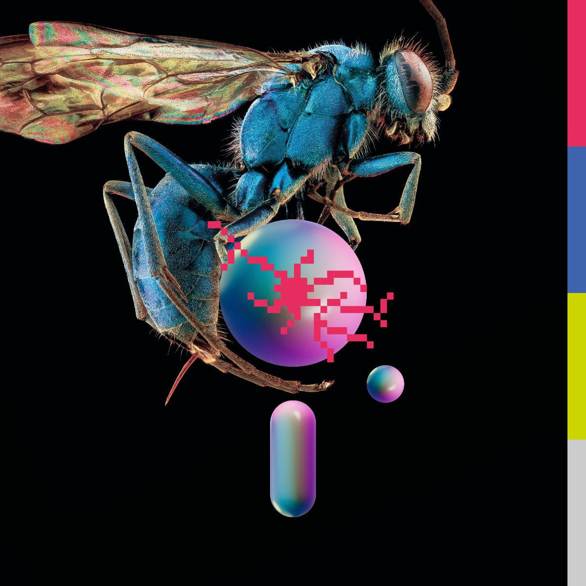 Teeth Of The Sea - Hive [Blue Vinyl]