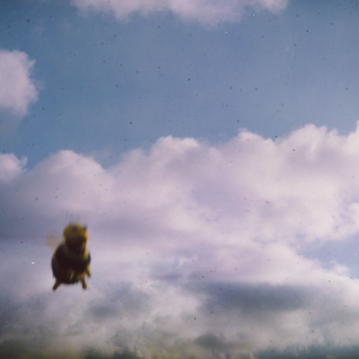Pond - Stung! [Splatter Bee Vinyl 2LP]