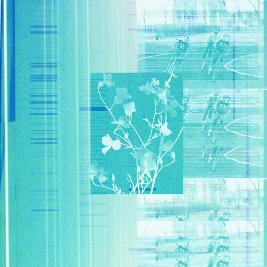 Edmondson - Vanarama Bar