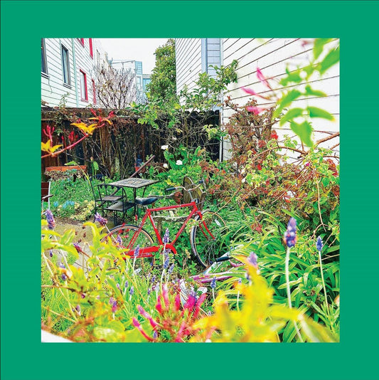 The Reds, Pinks And Purples - Unwishing Well [CD]