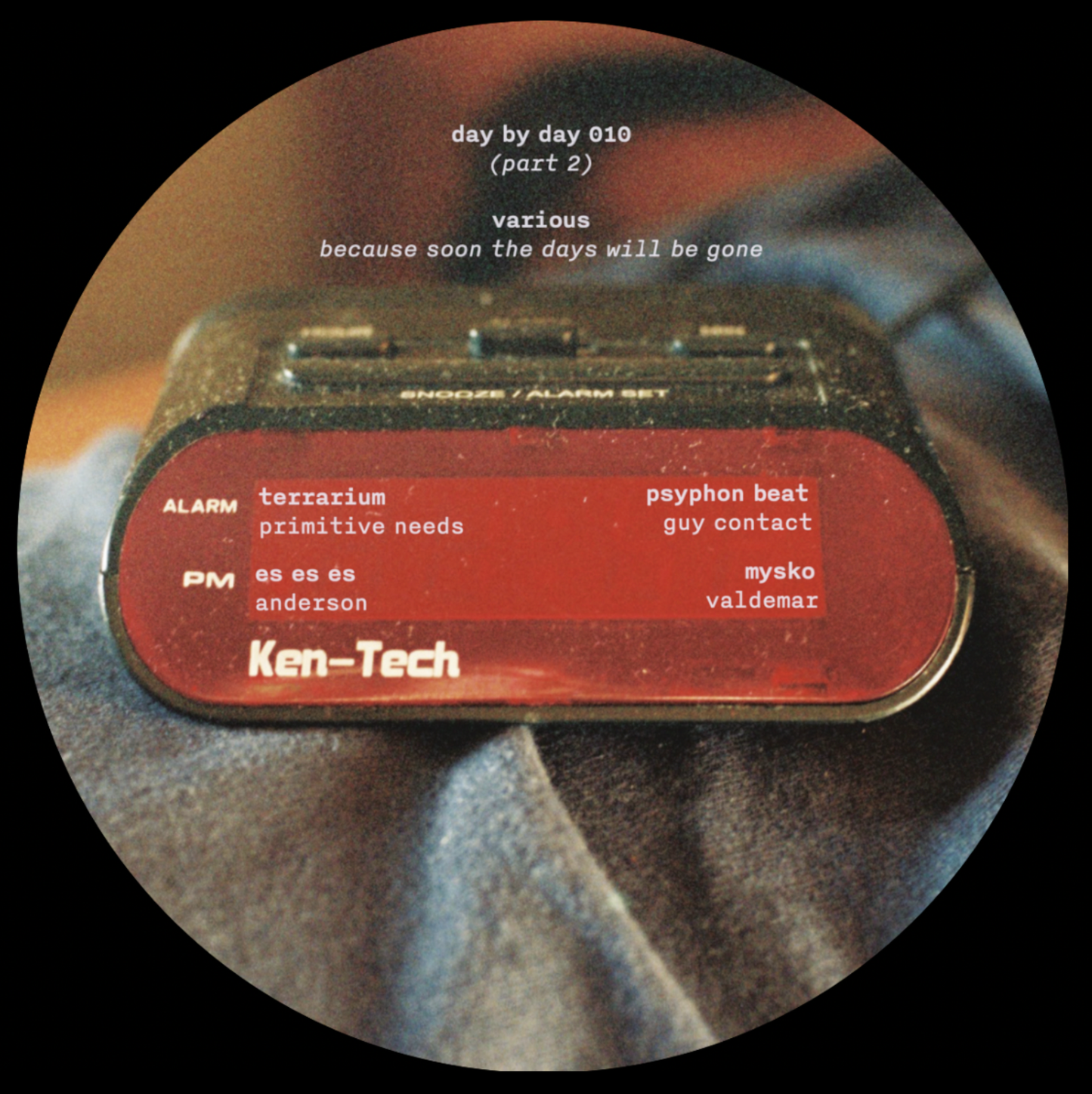 Various Artists - Because Soon the Days Will Be Gone