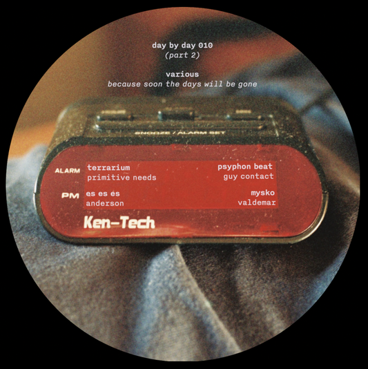 Various Artists - Because Soon the Days Will Be Gone