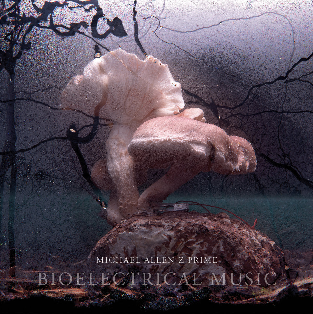 Michael Allen Z Prime - Bioelectrical Music [3CD]