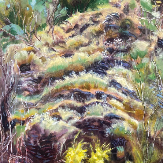 Swim Surreal - In The Half Light [CD]