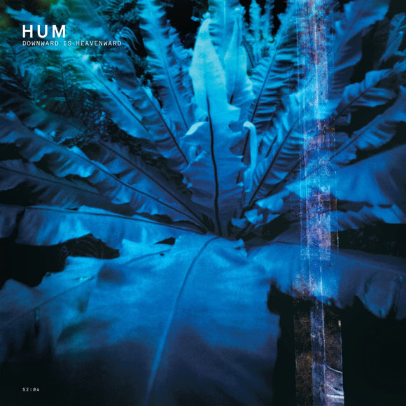 Hum - Downwards Is Heavenward (Reissue)