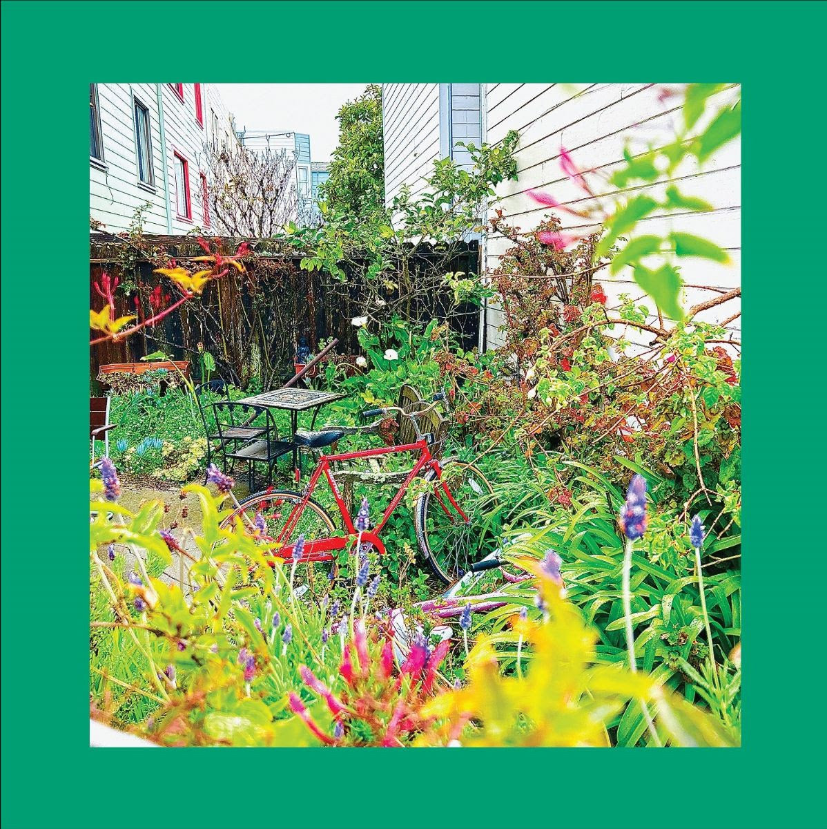 The Reds, Pinks And Purples - Unwishing Well [White Vinyl]