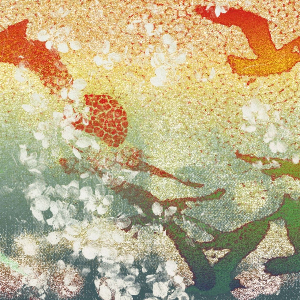 Floating World Pictures - Floating World Pictures with Ocean Moon [Cassette]