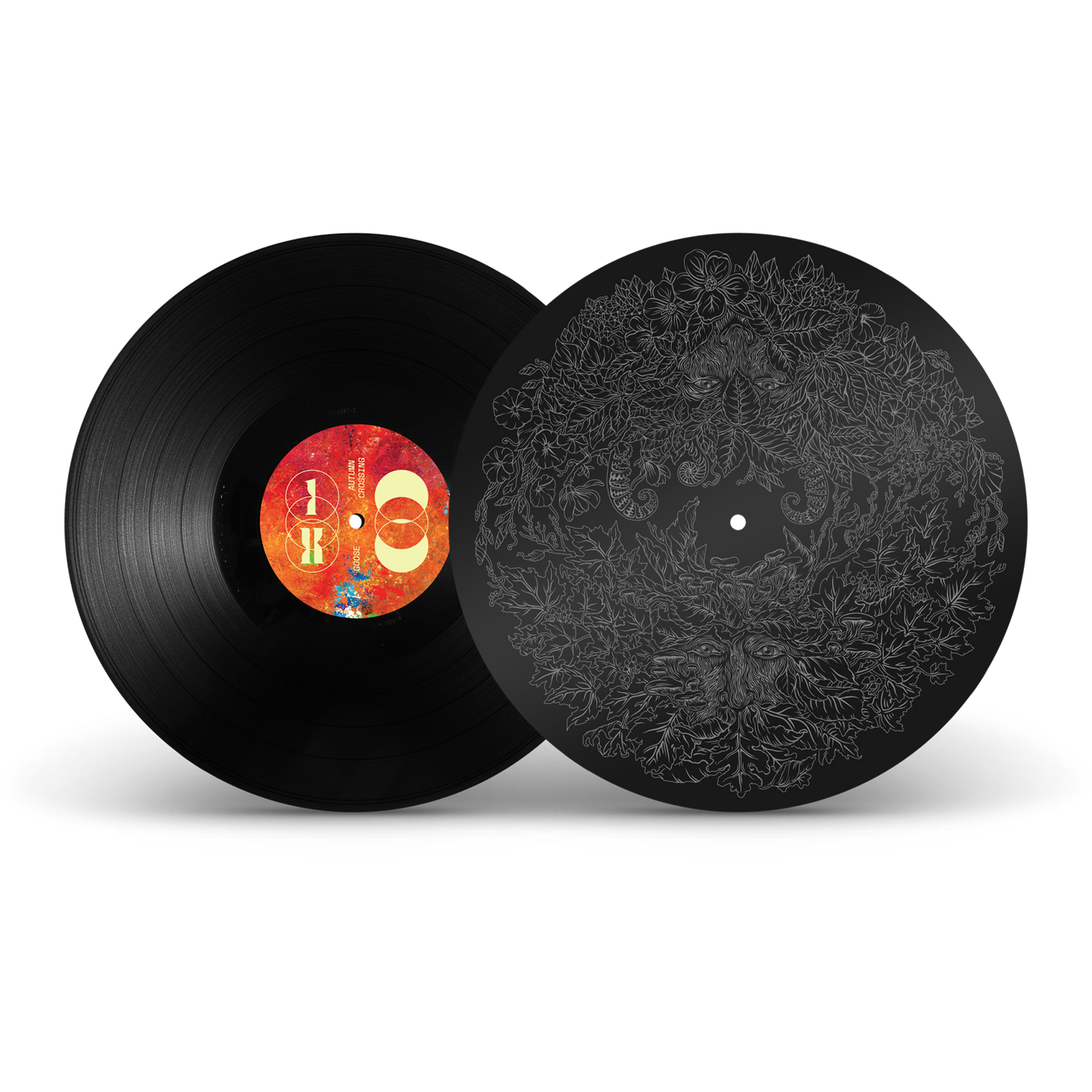 Goose - Autumn Crossing