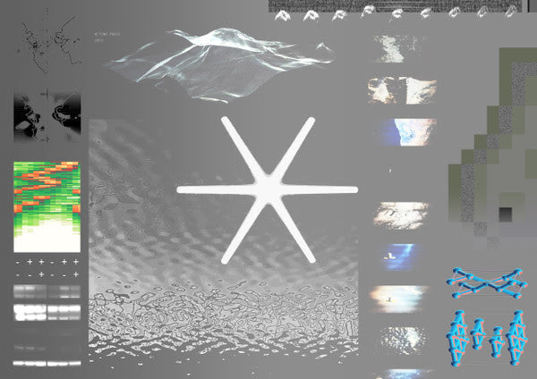 PLO Man - anonymousmaterial