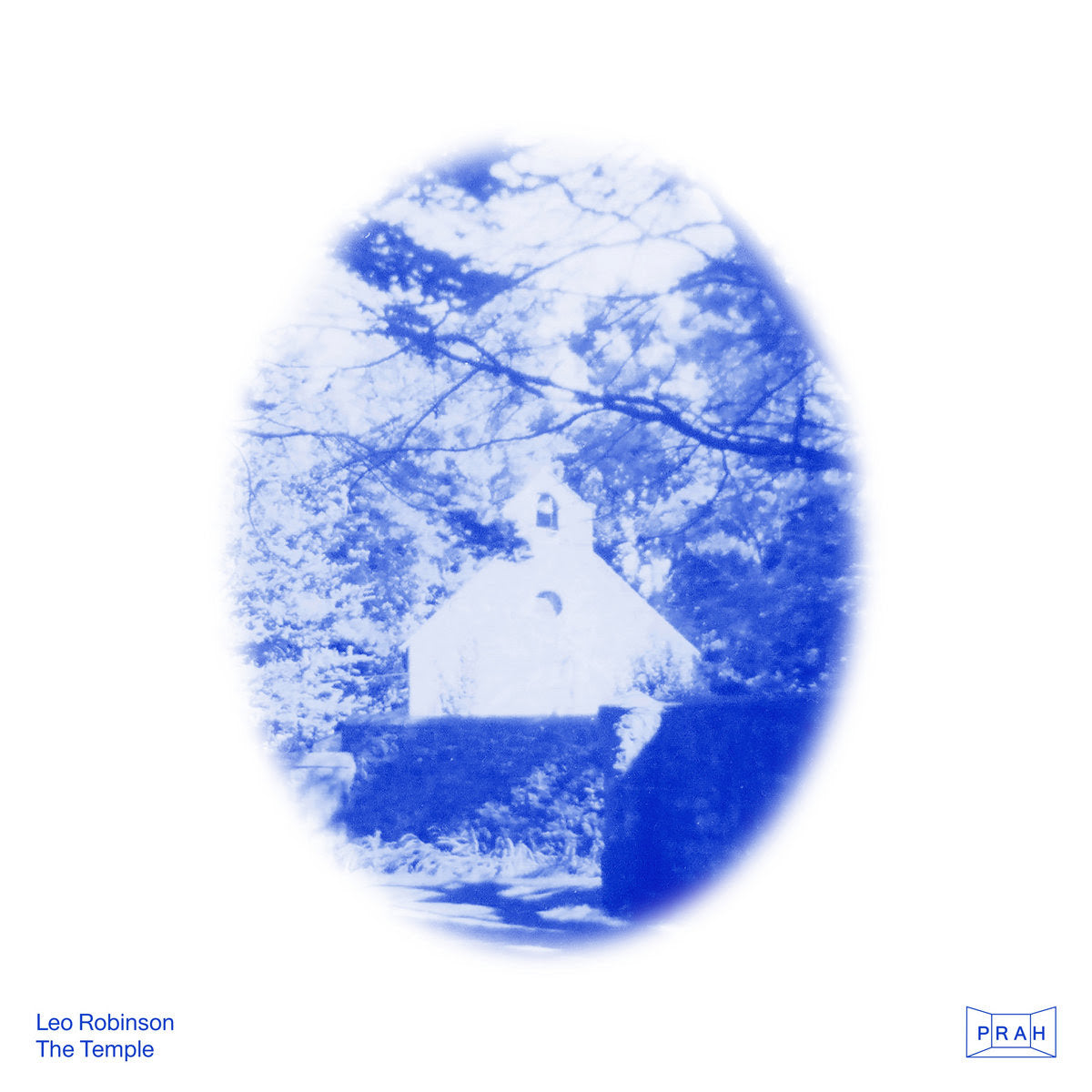 Leo Robinson - The Temple