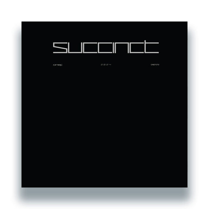 Various Artists - SUCCINCT 2024 [3LP]