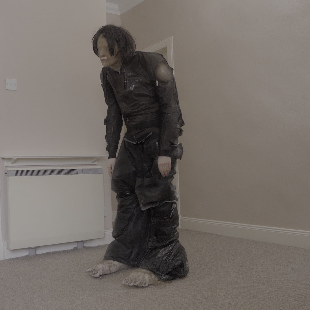 El Perro del Mar - Big Anonymous [CD]