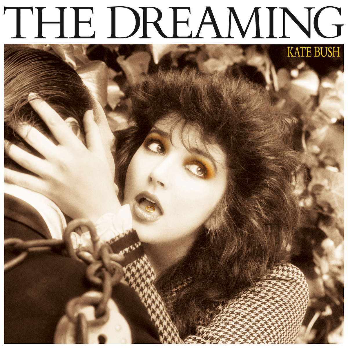 Kate Bush - The Dreaming (2018 Remaster) [Smokey vinyl]