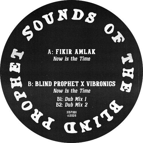 Blind Prophet & Vibronics - Now Is The Time ft. Fikir Amlak