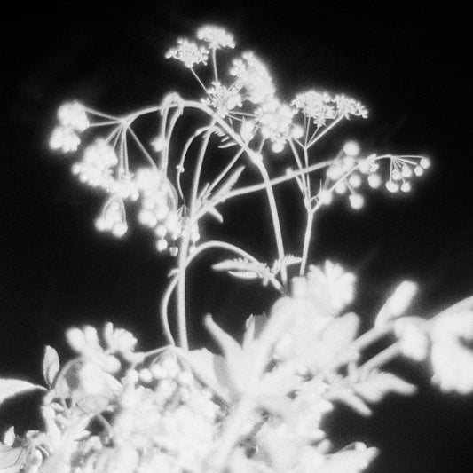 Man Rei - Health [Cassette]