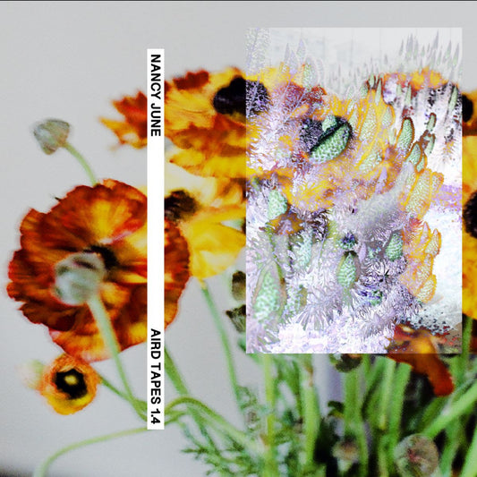 Nancy June - Aird Tapes 1.4 [Cassette]