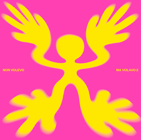 Various - Non Volevo Ma Volavo 2