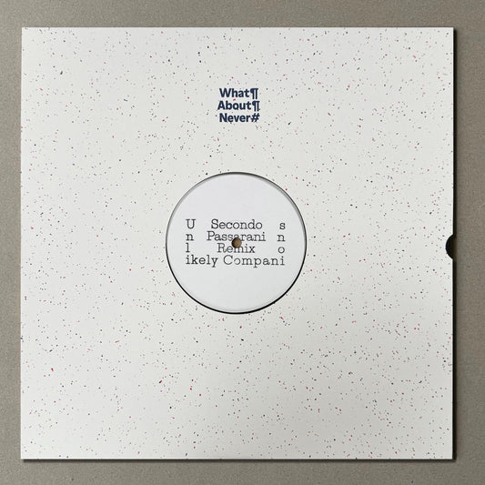 Secondo - Unlikely Companions (feat. Marco Passarani remix)