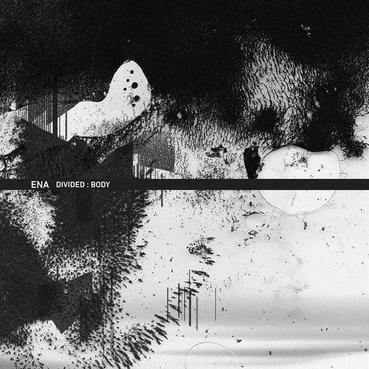 ENA - Divided: Body [Marble 12" w/ Insert]